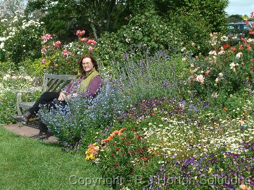 Flower border Merilyn 